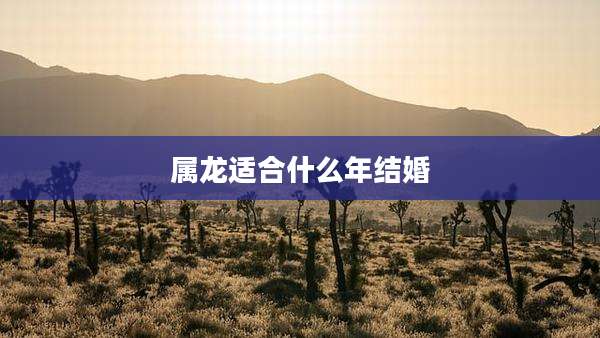 属龙适合什么年结婚