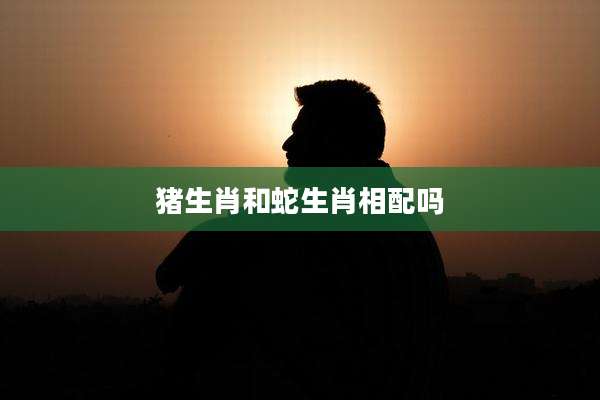 猪生肖和蛇生肖相配吗