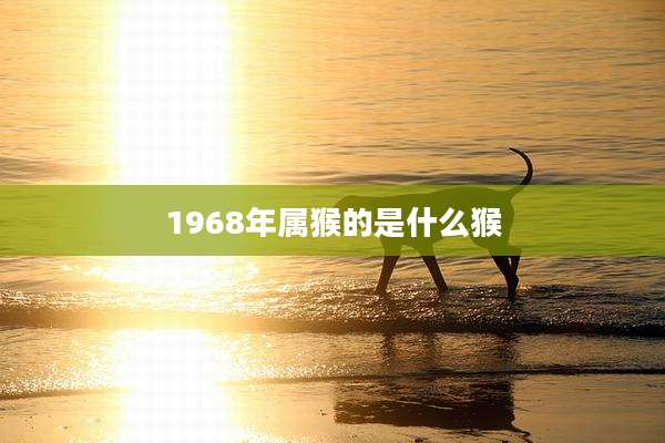 1968年属猴的是什么猴