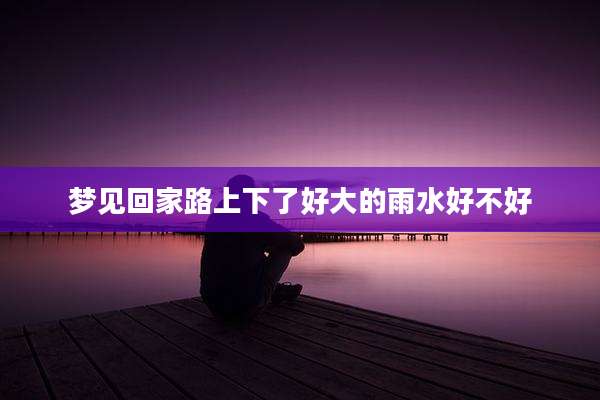 梦见回家路上下了好大的雨水好不好