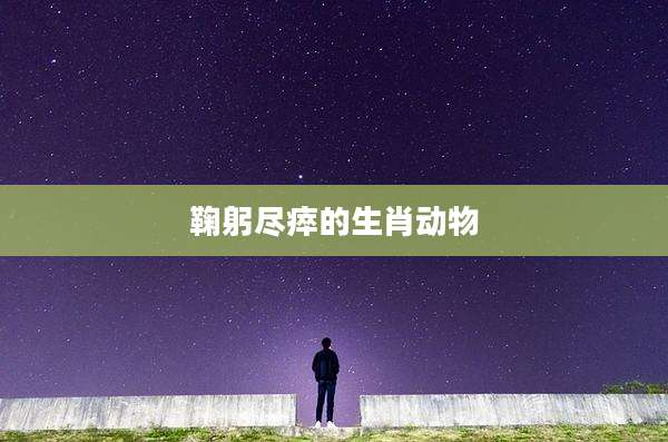 鞠躬尽瘁的生肖动物