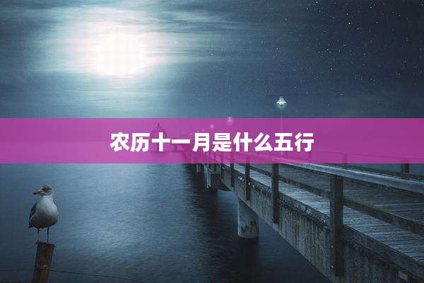 农历十一月是什么五行