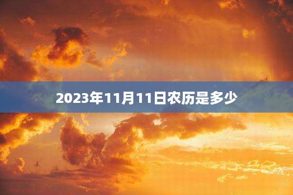 2023年11月11日农历是多少
