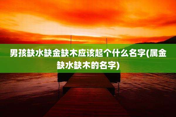 男孩缺水缺金缺木应该起个什么名字(属金缺水缺木的名字)