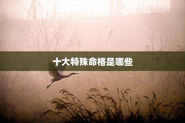 十大特殊命格是哪些