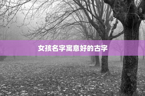 女孩名字寓意好的古字