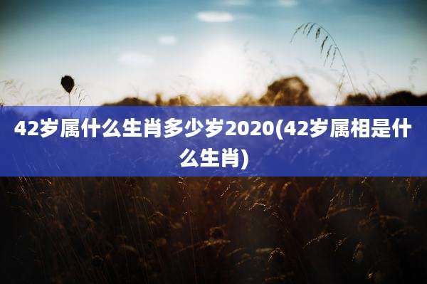 42岁属什么生肖多少岁2020(42岁属相是什么生肖)