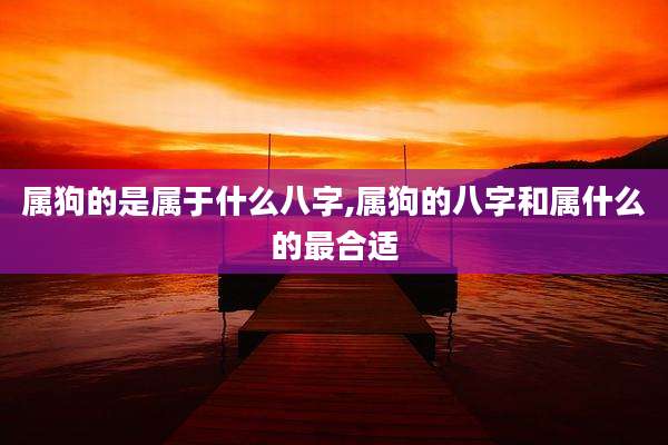 属狗的是属于什么八字,属狗的八字和属什么的最合适
