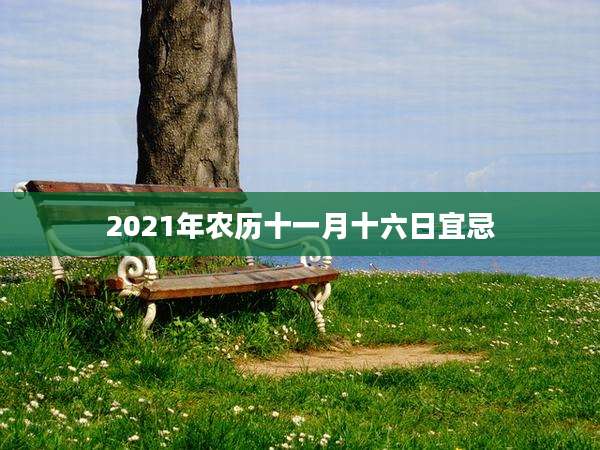 2021年农历十一月十六日宜忌