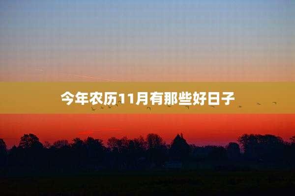 今年农历11月有那些好日子