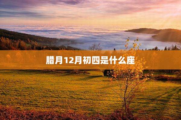 腊月12月初四是什么座