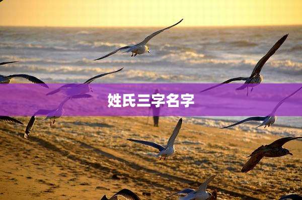 姓氏三字名字