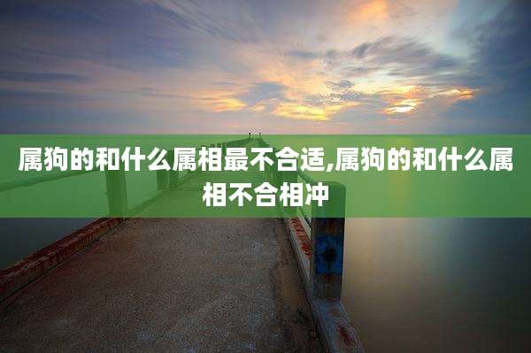 属狗的和什么属相最不合适,属狗的和什么属相不合相冲