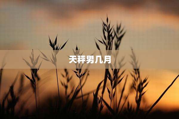 天秤男几月