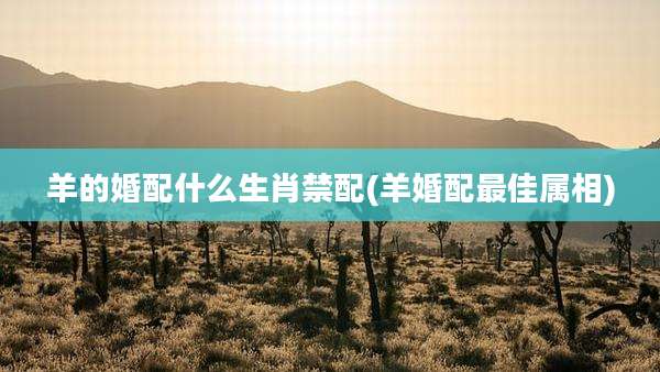 羊的婚配什么生肖禁配(羊婚配最佳属相)