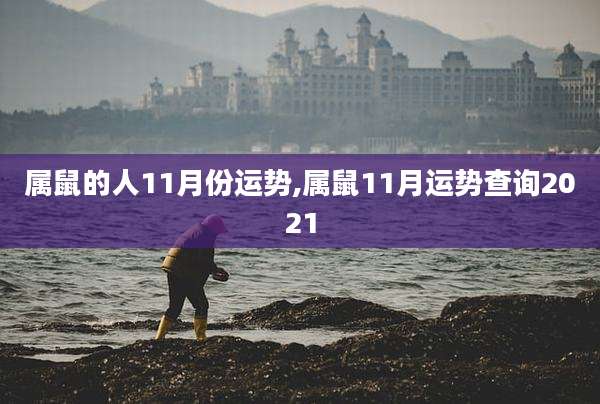 属鼠的人11月份运势,属鼠11月运势查询2021