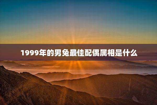 1999年的男兔最佳配偶属相是什么