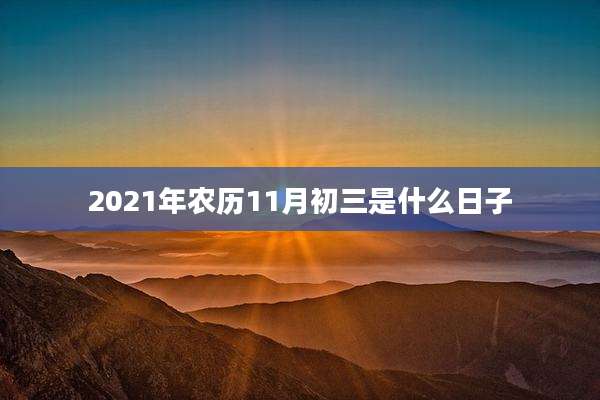 2021年农历11月初三是什么日子