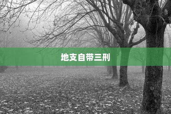 地支自带三刑