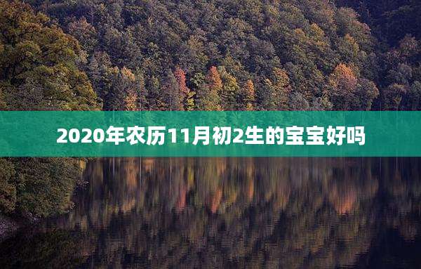 2020年农历11月初2生的宝宝好吗