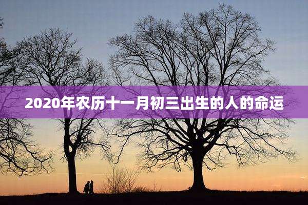 2020年农历十一月初三出生的人的命运