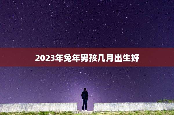 2023年兔年男孩几月出生好