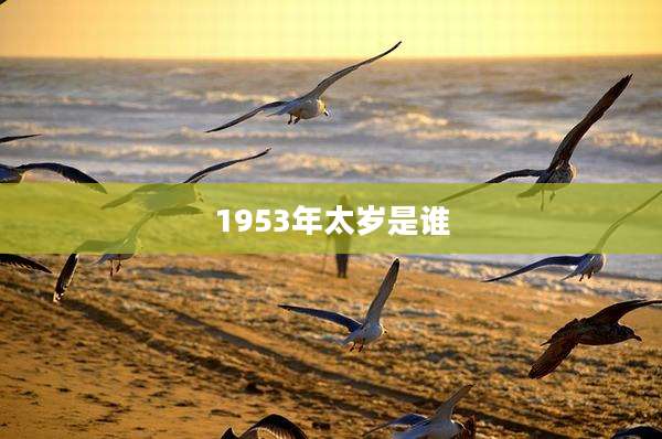 1953年太岁是谁