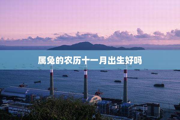属兔的农历十一月出生好吗