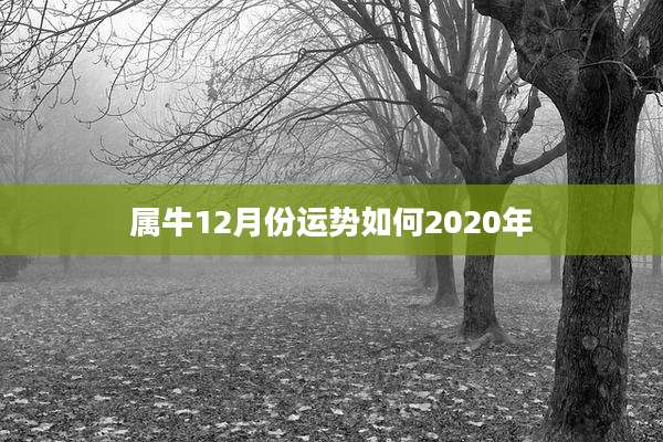 属牛12月份运势如何2020年