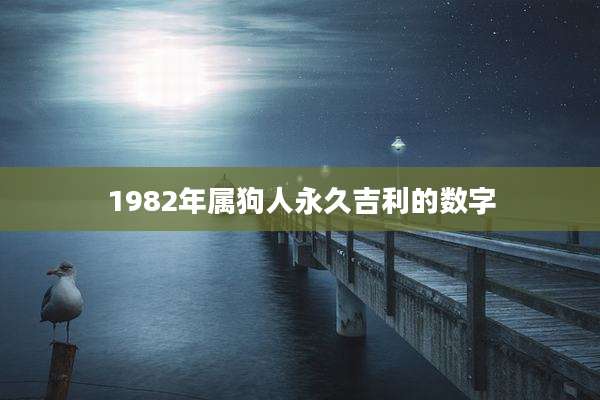 1982年属狗人永久吉利的数字