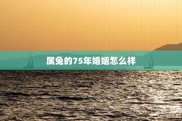 属兔的75年婚姻怎么样