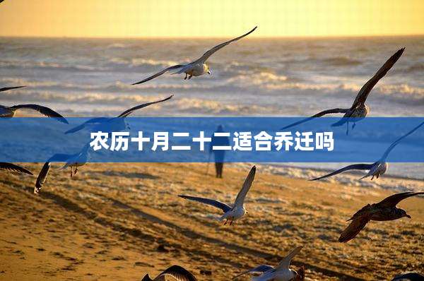 农历十月二十二适合乔迁吗