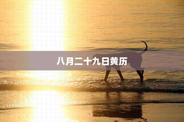 八月二十九日黄历