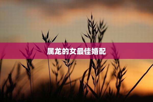 属龙的女最佳婚配