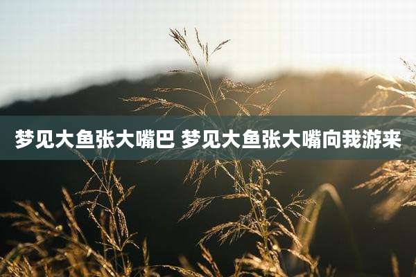 梦见大鱼张大嘴巴 梦见大鱼张大嘴向我游来
