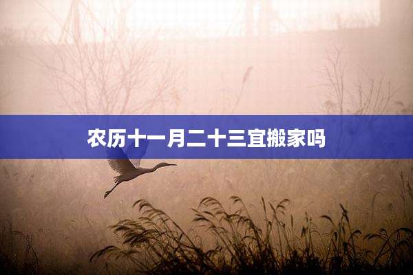 农历十一月二十三宜搬家吗