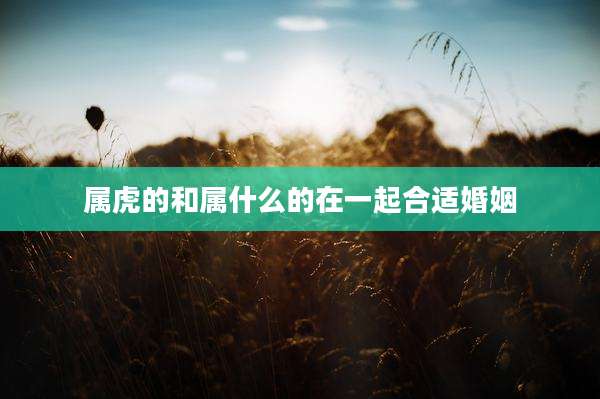 属虎的和属什么的在一起合适婚姻