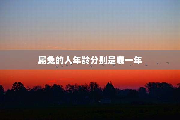 属兔的人年龄分别是哪一年