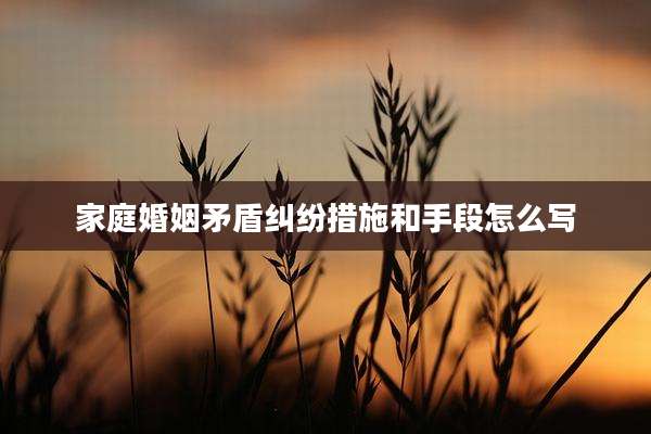 家庭婚姻矛盾纠纷措施和手段怎么写