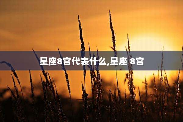 星座8宫代表什么,星座 8宫