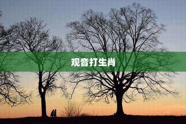 观音打生肖