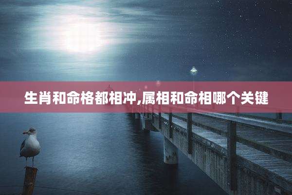 生肖和命格都相冲,属相和命相哪个关键