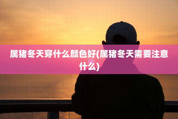 属猪冬天穿什么颜色好(属猪冬天需要注意什么)