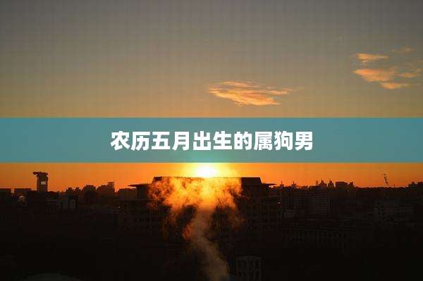 农历五月出生的属狗男