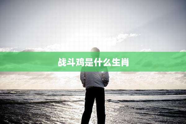 战斗鸡是什么生肖