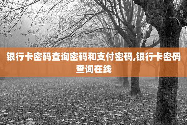 银行卡密码查询密码和支付密码,银行卡密码查询在线