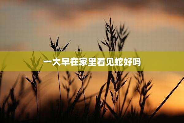 一大早在家里看见蛇好吗