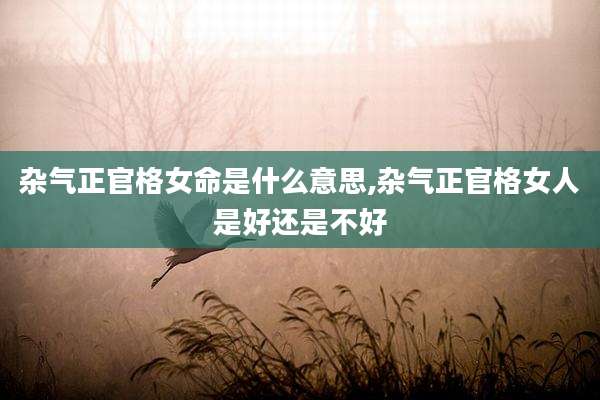 杂气正官格女命是什么意思,杂气正官格女人是好还是不好