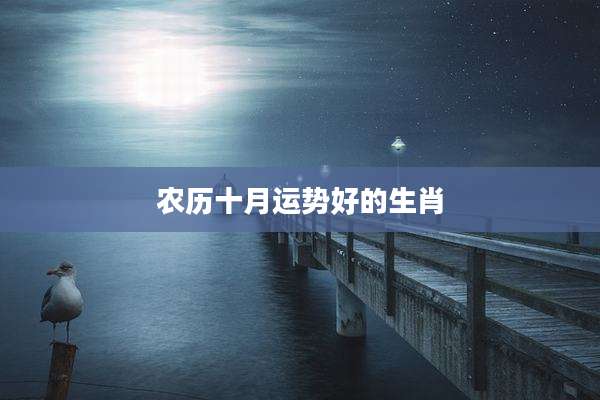 农历十月运势好的生肖