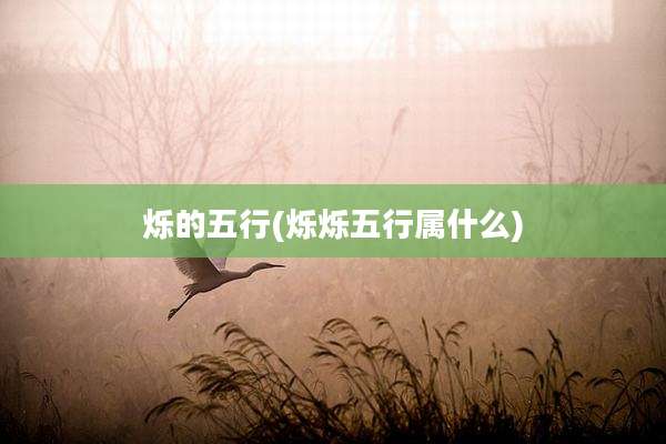 烁的五行(烁烁五行属什么)
